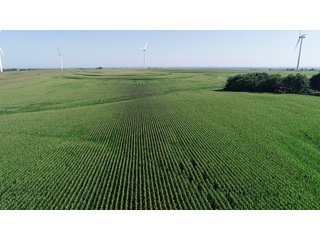 Bureau County, Illinois farmland - LAND AND WIND RIGHTS AUCTION - 337+/- ACRES IN 4 TRACTS IN BUREAU COUNTY, ILLINOIS
